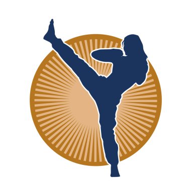 Dövüş sanatları tekmesi pozu veren bir kadının silueti. Dövüş sanatlarındaki bir kadının silueti tekme atma pozu veriyor..