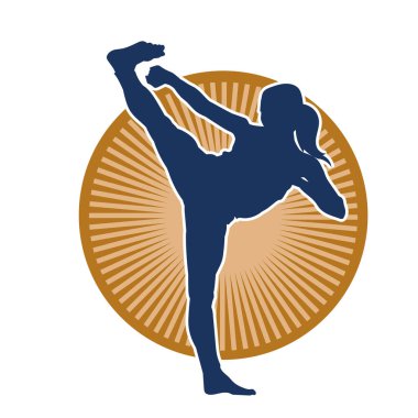 Dövüş sanatları tekmesi pozu veren bir kadının silueti. Dövüş sanatlarındaki bir kadının silueti tekme atma pozu veriyor..