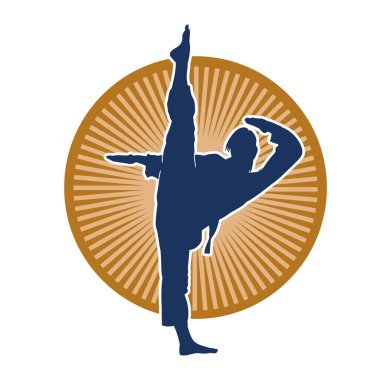 Dövüş sanatları tekmesi pozu veren bir kadının silueti. Dövüş sanatlarındaki bir kadının silueti tekme atma pozu veriyor..