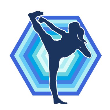 Dövüş sanatları tekmesi pozu veren bir kadının silueti. Dövüş sanatlarındaki bir kadının silueti tekme atma pozu veriyor..