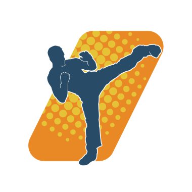 Dövüş sanatları pozu veren bir erkeğin silueti. Dövüş sanatları ustasının silueti tekme atma pozu veriyor..