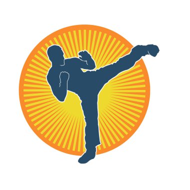 Dövüş sanatları pozu veren bir erkeğin silueti. Dövüş sanatları ustasının silueti tekme atma pozu veriyor..