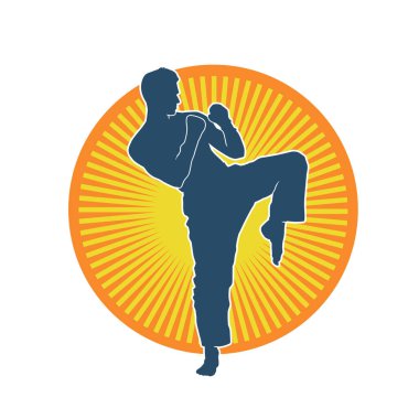 Dövüş sanatları pozu veren bir erkeğin silueti. Dövüş sanatları ustasının silueti tekme atma pozu veriyor..