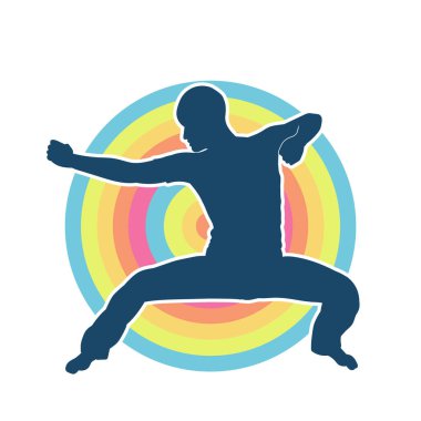 Doğu dövüş sanatı pozu veren bir adamın silueti. Dövüş sanatlarında bir erkeğin silueti..