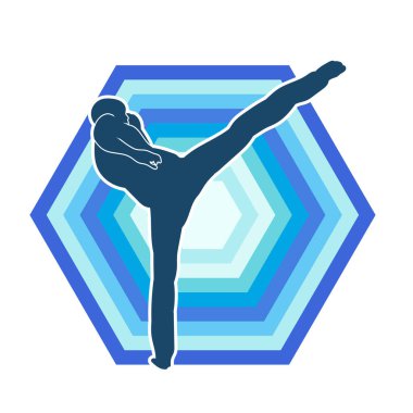 Dövüş sanatları pozu veren bir erkeğin silueti. Dövüş sanatları ustasının silueti tekme atma pozu veriyor..