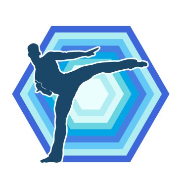 Dövüş sanatları pozu veren bir erkeğin silueti. Dövüş sanatları ustasının silueti tekme atma pozu veriyor..