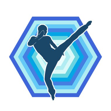 Dövüş sanatları pozu veren bir erkeğin silueti. Dövüş sanatları ustasının silueti tekme atma pozu veriyor..