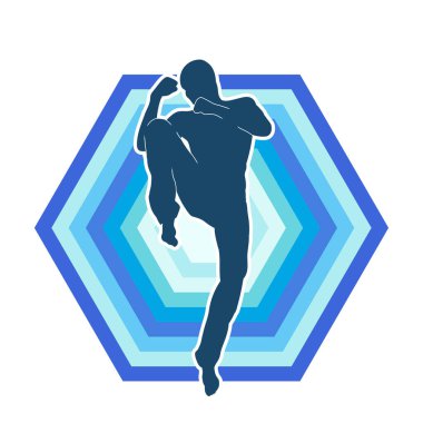 Doğu dövüş sanatı pozu veren bir adamın silueti. Dövüş sanatlarında bir erkeğin silueti..