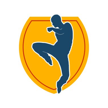 Doğu dövüş sanatı pozu veren bir adamın silueti. Dövüş sanatlarında bir erkeğin silueti..