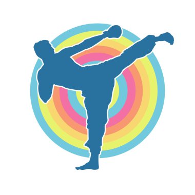 Dövüş sanatları pozu veren bir erkeğin silueti. Dövüş sanatları ustasının silueti tekme atma pozu veriyor..