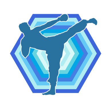 Dövüş sanatları pozu veren bir erkeğin silueti. Dövüş sanatları ustasının silueti tekme atma pozu veriyor..