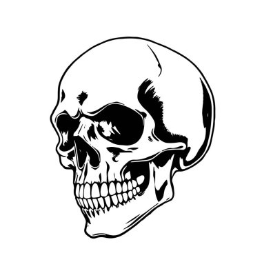 Tek renkli Kurukafa İllüstrasyon Vektör Sanatı. Kalın Kafatası Tasarımı - BW Vektör İllüzyonu. Grafik Kafatası Sanatı - Temiz Vektör Tasarımı. Tarz Kurukafa Vektörü - Siyah ve Beyaz Kırpma Sanatı.