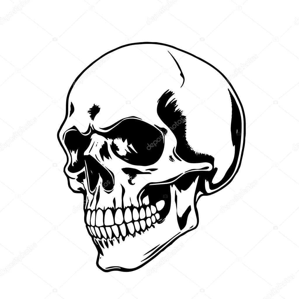 Monochrome Skull Illustration Vector Art. Bold Skull Head Design - BW Vector Illustration. Graphic Skull Artwork - Clean Vector Design. Stylish Skull Vector - Black and White Clip Art.