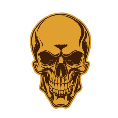 Çift tonlu Gotik Kafatası Sanatı. İnsan Kafatası çizimi, Ölümlülüğün sembolü. Monokrom tarzında vintage Syle Human Skull illüstrasyonu.