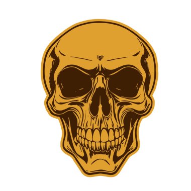 Çift tonlu Gotik Kafatası Sanatı. İnsan Kafatası çizimi, Ölümlülüğün sembolü. Monokrom tarzında vintage Syle Human Skull illüstrasyonu.