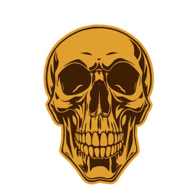 Çift tonlu Gotik Kafatası Sanatı. İnsan Kafatası çizimi, Ölümlülüğün sembolü. Monokrom tarzında vintage Syle Human Skull illüstrasyonu.