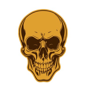 Çift tonlu Gotik Kafatası Sanatı. İnsan Kafatası çizimi, Ölümlülüğün sembolü. Monokrom tarzında vintage Syle Human Skull illüstrasyonu.