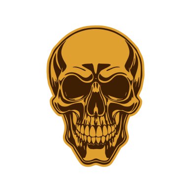 Çift tonlu Gotik Kafatası Sanatı. İnsan Kafatası çizimi, Ölümlülüğün sembolü. Monokrom tarzında vintage Syle Human Skull illüstrasyonu.