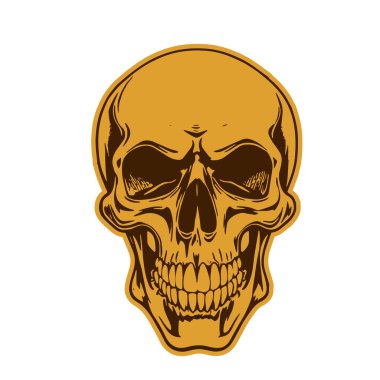 Çift tonlu Gotik Kafatası Sanatı. İnsan Kafatası çizimi, Ölümlülüğün sembolü. Monokrom tarzında vintage Syle Human Skull illüstrasyonu.