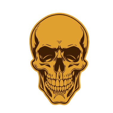 Çift tonlu Gotik Kafatası Sanatı. İnsan Kafatası çizimi, Ölümlülüğün sembolü. Monokrom tarzında vintage Syle Human Skull illüstrasyonu.