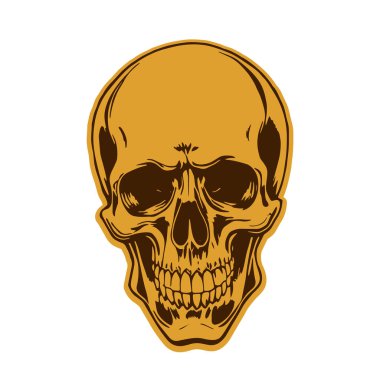 Çift tonlu Gotik Kafatası Sanatı. İnsan Kafatası çizimi, Ölümlülüğün sembolü. Monokrom tarzında vintage Syle Human Skull illüstrasyonu.