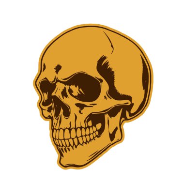 Çift tonlu Gotik Kafatası Sanatı. İnsan Kafatası çizimi, Ölümlülüğün sembolü. Monokrom tarzında vintage Syle Human Skull illüstrasyonu.