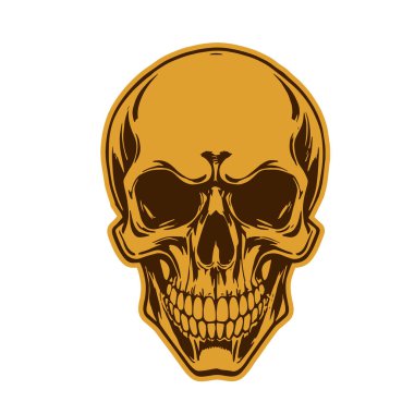 Çift tonlu Gotik Kafatası Sanatı. İnsan Kafatası çizimi, Ölümlülüğün sembolü. Monokrom tarzında vintage Syle Human Skull illüstrasyonu.