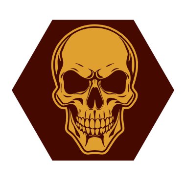 İnsan Kafatası çizimi, Ölümlülüğün sembolü. Çift tonlu Gotik Kafatası Sanatı. Monokrom tarzında vintage Syle Human Skull illüstrasyonu.