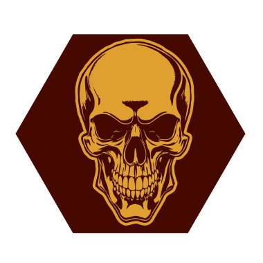 İnsan Kafatası çizimi, Ölümlülüğün sembolü. Çift tonlu Gotik Kafatası Sanatı. Monokrom tarzında vintage Syle Human Skull illüstrasyonu.