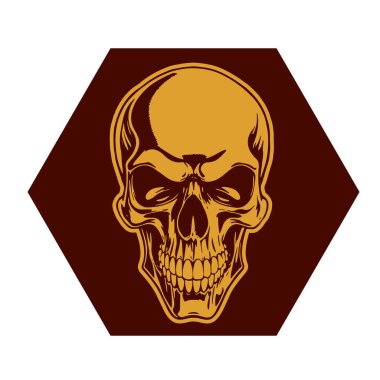 İnsan Kafatası çizimi, Ölümlülüğün sembolü. Çift tonlu Gotik Kafatası Sanatı. Monokrom tarzında vintage Syle Human Skull illüstrasyonu.