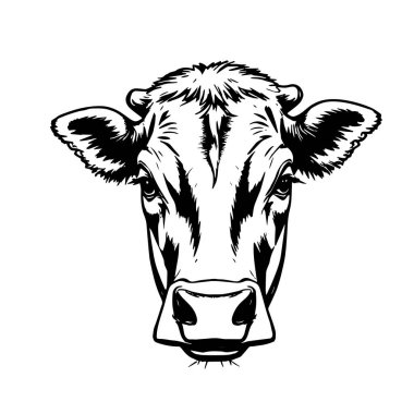 Siyah ve Beyaz İnek Başlığı - Vektör İllüstrasyonu