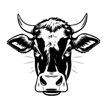 Boğa veya İnek Başı Siyah ve Beyaz Vektör