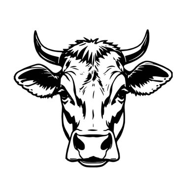 Boğa veya İnek Başı Siyah ve Beyaz Vektör