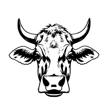 Boğa veya İnek Başı Siyah ve Beyaz Vektör
