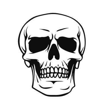 İnsan kafatası vektör çizimi