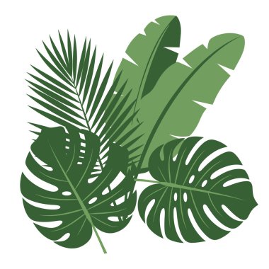 Soyut tropikal yaprakların minimalist tarzda düz vektör çizimi. Büyük palmiye yaprağı, canavar yaprağı, ve muz yaprağı üst üste, taze yeşil gölgeler.