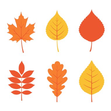 Düz Vektör Sonbahar Yaprakları Beyaz Üzerine Ayırıldı