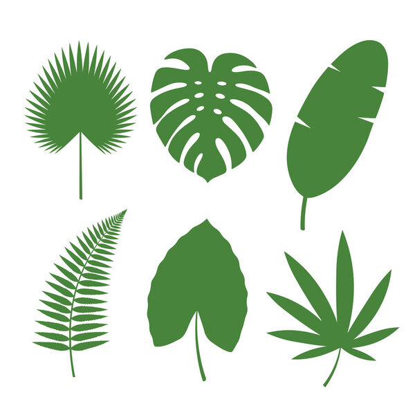 Коллекция плоских векторных тропических листьев изолирована на белом