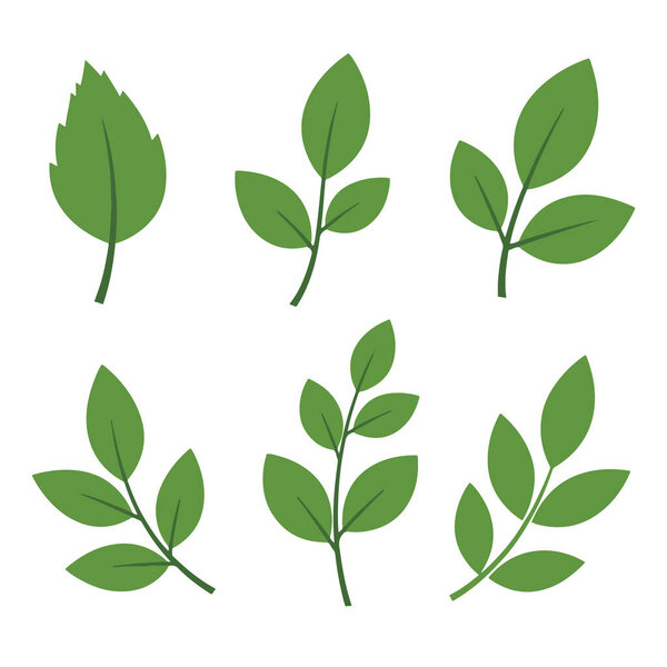 Flat Vector Leafy Branches and Stems Collection Isolated on White