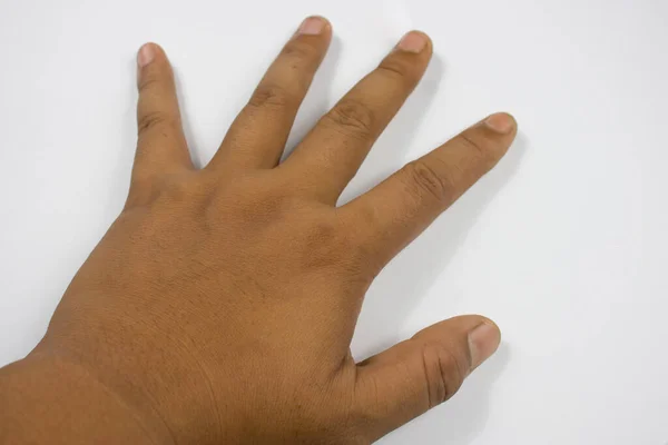 the hands of a young man with tan skin tone, white background