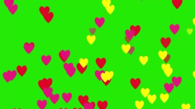 Sarı, kırmızı ve pembe kalp sembolleri yeşil ekrana düşen yağmur damlaları gibi.