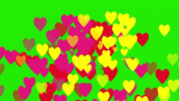 Geel Rood Roze Hart Symbolen Vallen Als Regendruppels Een Groen — Stockvideo