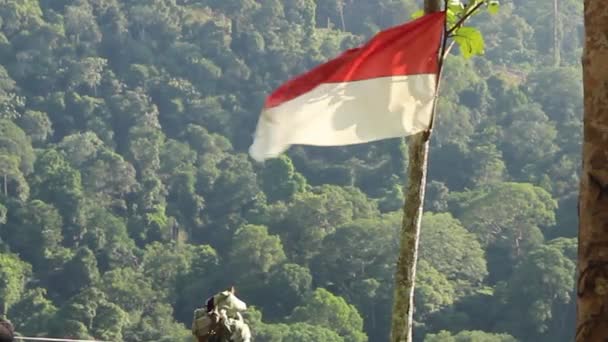 Drapeau Rouge Blanc Indonésie Flottant Dessus Coteau — Video