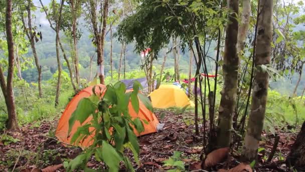 Video Top Hill Morning Cool Atmosphere Tents Scenery — Stock Video