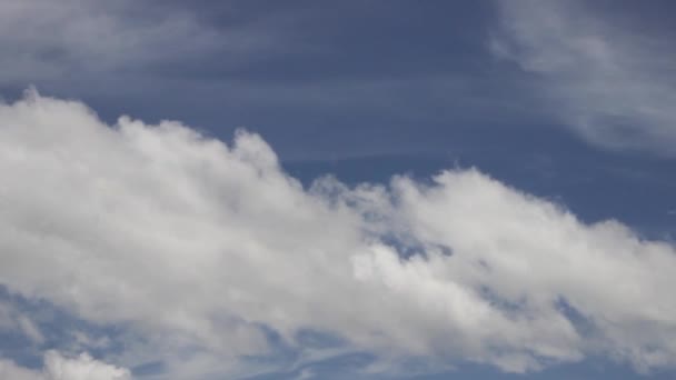 Cielo Azul Nubes Blancas Nubes Blancas Esponjosas Timelapse Paisaje Nublado — Vídeos de Stock