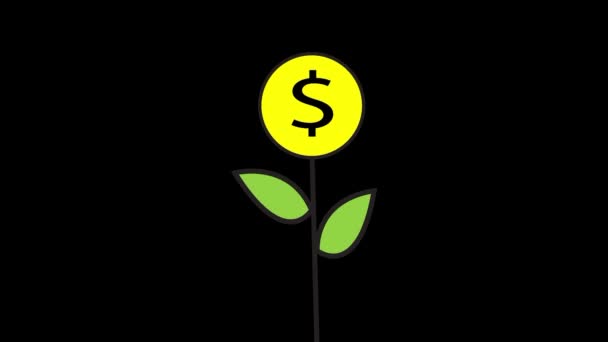Video Illustration Money Tree Growing Bearing Fruit Money Falling Shower — Stock Video