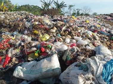 Barınaklardan birinde bir çöp yığını resmi var.