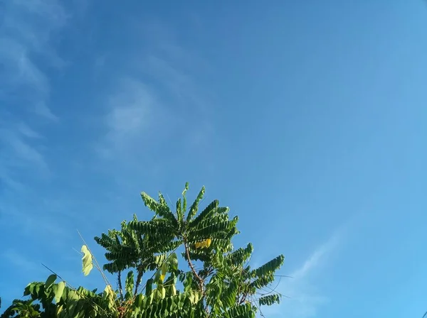 Фон Неба Голубое Небо — стоковое фото
