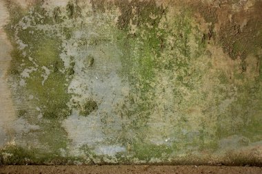Yosunlu beton duvar arkaplanı