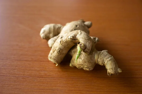 Planta Jengibre Colocado Sobre Una Mesa Marrón — Foto de Stock